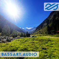 basscast 2408 by bassart aka sebastian schmidgen