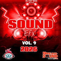Sound Effects 2026 - DJ Tay Wsg - Sound EFX 9 by Dream-Sound Media