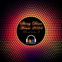 Shiny Disco House 2024 Session 2 by DJ Pascal Belgium