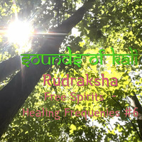 Frequency Healing Dance #6 by Rudraksha