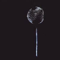 Duckett - Part 2 (Waiting for Weather) - UMHS08 (Clips) by Duckett