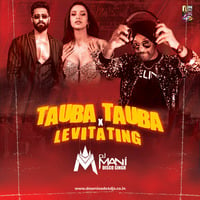 Tauba Tauba X Levitating - DJ Mani by Downloads4Djs