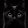 VoidCat