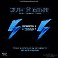 GUM N MINT_SEASON 1 E.1 ( STRICTLY 100% PRODUCTION MIX ) by Dj Tshelows