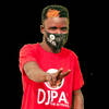 DJ PAL THE ACTIVATOR