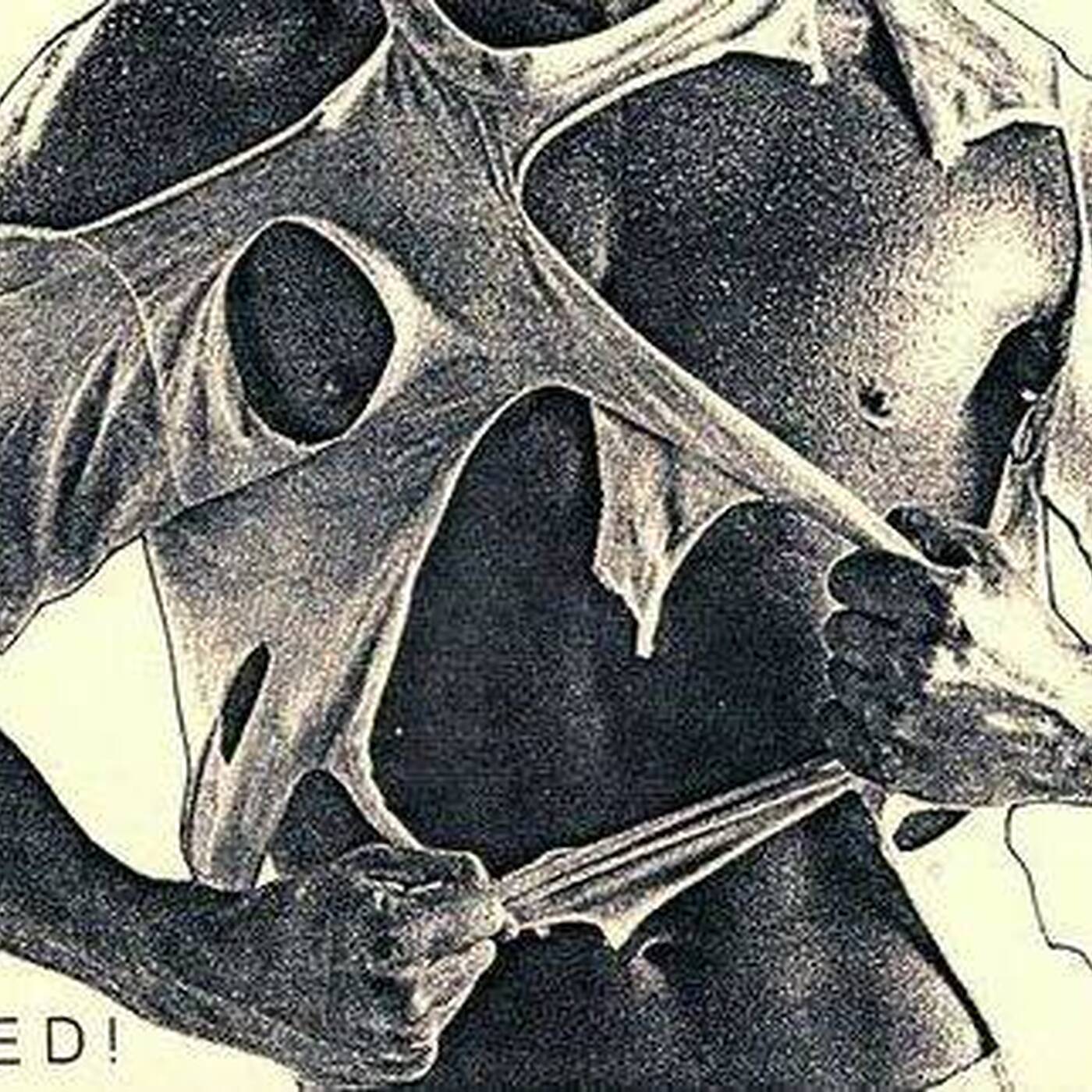 DJ Rolf Iverson - Live At Ripped Party (Fire Island, NY) 1992 - Tape 4 of 4 (Jim Hopkins Remaster) episode artwork