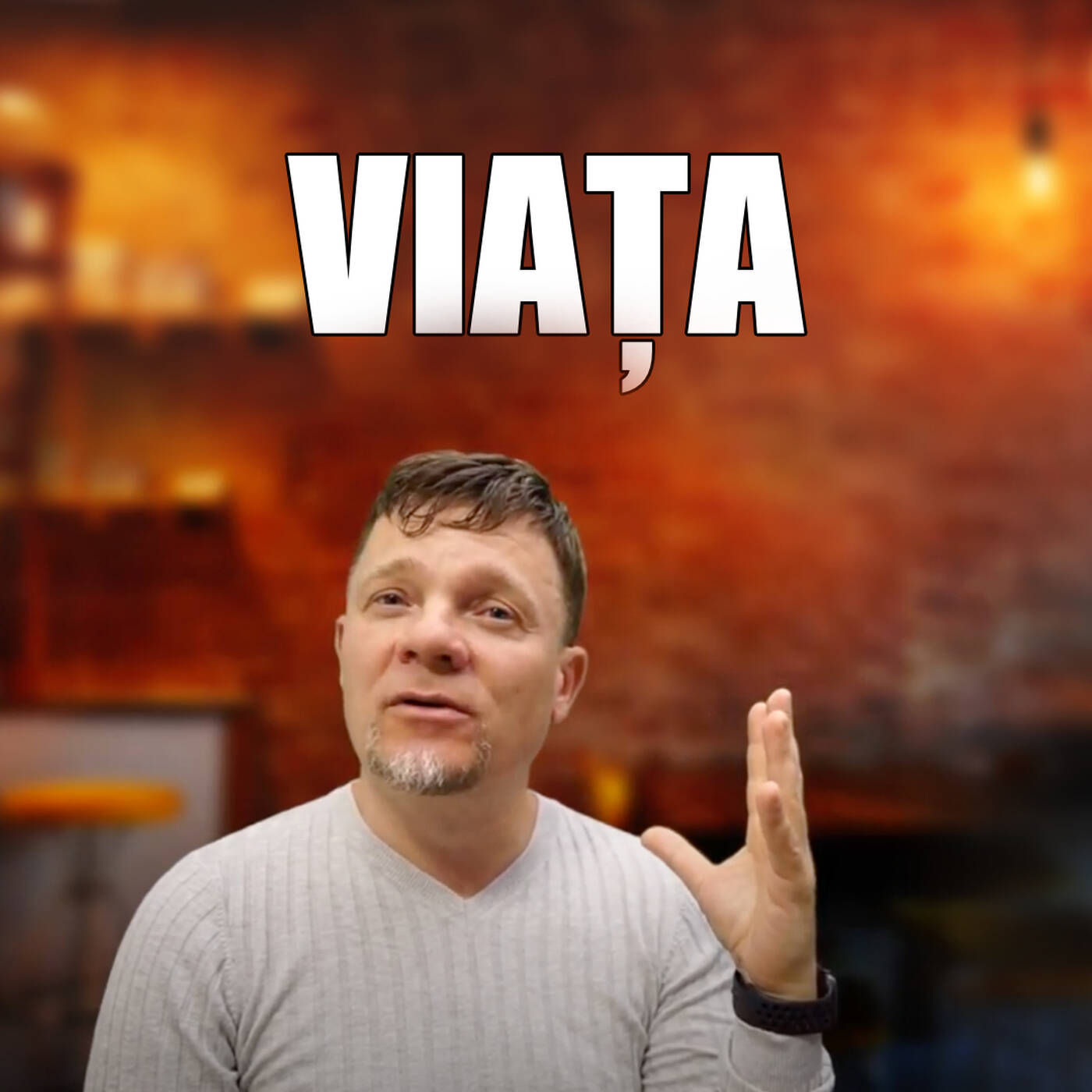 Viața episode artwork