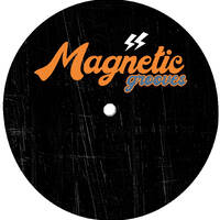 MAGNETIC_GRUVS ☆☆ ON VINYL by mR GEE_Music