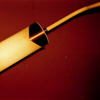 -hällo omma- ts, b, dr (nhs) newfarmer, hild, schachbrett by helm newfarmer