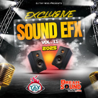Sound Effects 2025 - DJ Tay Wsg - Exclusive Sound EFX 11 by Dream-Sound Media