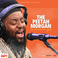 The Peter 'Peetah' Morgan Tribute Mix Morgan Heritage by Blame It On Don by Songbad Music