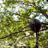 Field Recordings | Retro #22 by PG3A