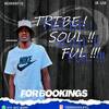 Tribesoulful ZA