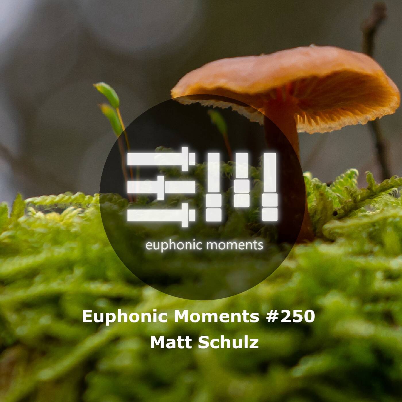 Euphonic Moments # 250 Matt Schulz episode artwork