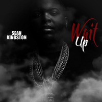 Sean Kingston - Wait Up (DJ LILBRIEH Extended) by DJ LILBRIEH