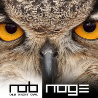 Old Night Owl by Rob Noge
