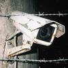 Surveillant
