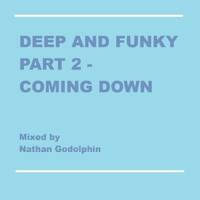 DEEP AND FUNKY PART 2 - COMING DOWN by DEEPER DANCE JOURNEY