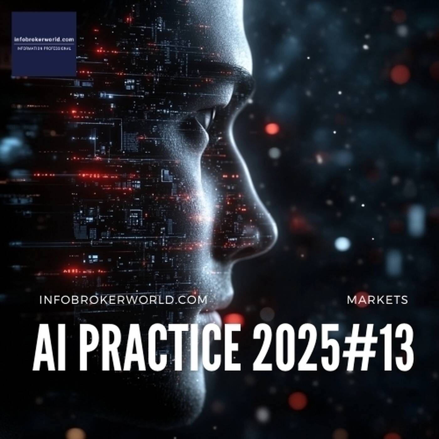 AI Practice  – 2025#13 – Artificial Intelligence in Industries and Markets across Germany and Europe