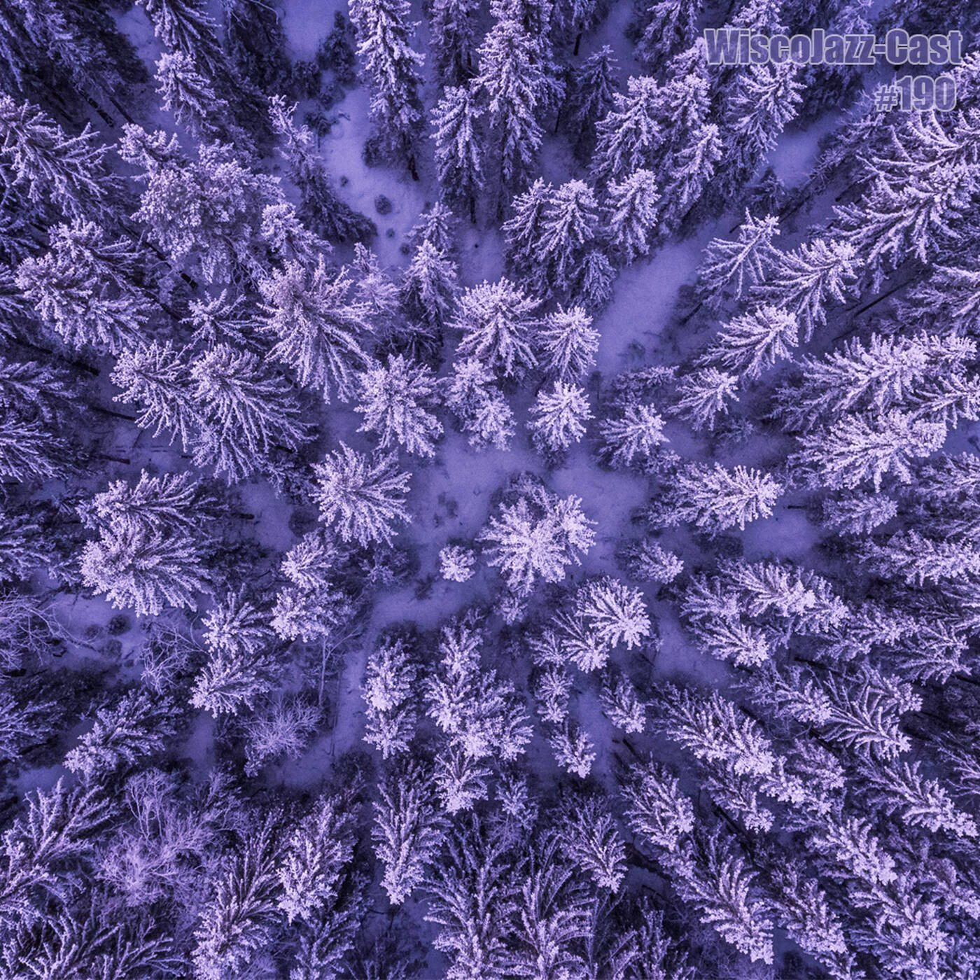 WiscoJazz-Cast - Episode 190 [DUB] episode artwork