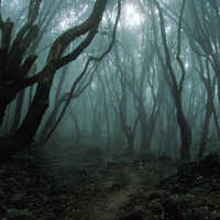 Tief im Wald ist ein Labyrinth by DE:FriZe