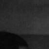 Mbuso_xi