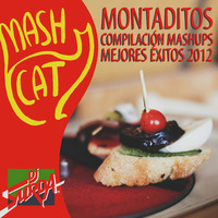 MashCat - Montadito 2012 (Continuous Mix) by MashCat