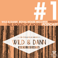 The Sound of House #1 podcast with Wild & Dann by Wild & Dann