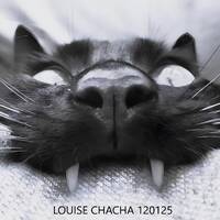 LOUISE CHACHA 120125 by louisechacha