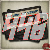 Echochamber 446 mit Delaydi (11.02.21) by Saetchmo