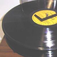 Disco Times 2026 by Disco Internet