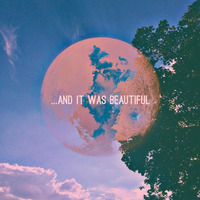 ...And It Was Beautiful by AT/AS D/V/NE