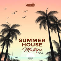 SUMMER HOUSE MIX by Dj_Iceberg