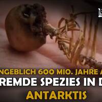 Bizarr! Angeblich 600 Mio. Jahre alte Skelette unbekannter Menschenarten in der Antarktis gefunden! by NuoFlix