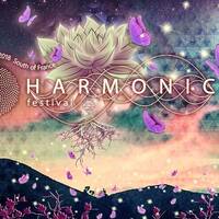 Symbiose - Chrysalide Stage - Harmonic Festival 2018 by Symbiose