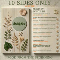 10 Sides Only - Vol. 1 by The Echo Rebel Experience
