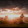 KingMufasa ThePride