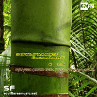 sessions#29_soulflaresmusic@ 674fm_20151112.mp3 by codec7