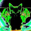 rumblin_cynth_rampo