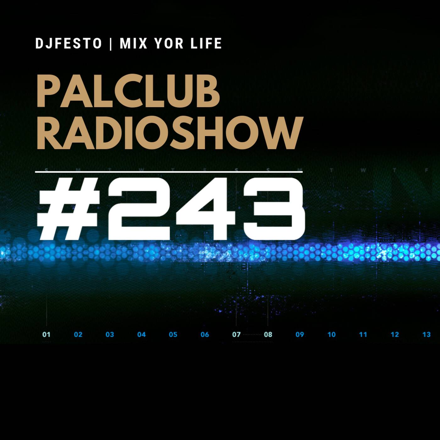 PALCLUB #243 - 13 ARALIK Part1 - DJFESTO episode artwork