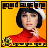 French House Heaters - Liquid Sunshine @ The Face Radio - Show #194 by Liquid Sunshine