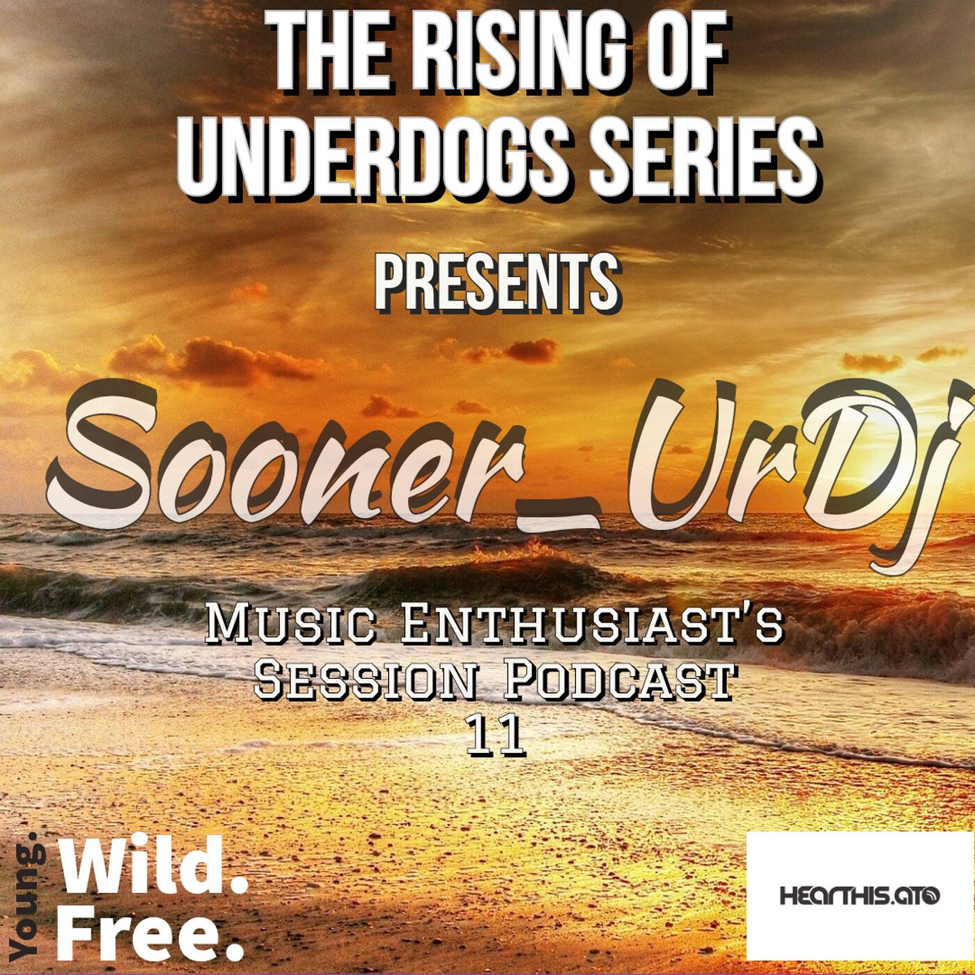 Music Enthusiast's Session Podcast 11 episode artwork