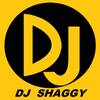 Deejay_ Shaggy_254