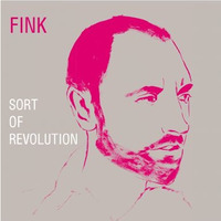 Fink - Maker (Dubfunk Remix) by Dubfunk