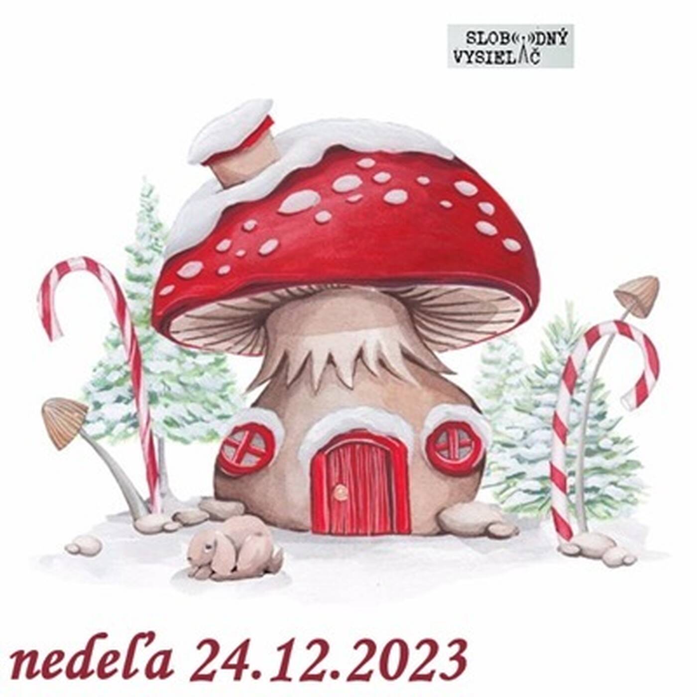 S Erikou o živote 163 - 2023-12-24 O Vianociach episode artwork