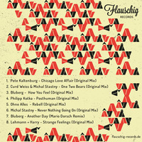 Flauschig Records #006: 5 Jahre Flauschig Records Compilation