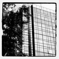 Our Road Signs by SIRQBASS