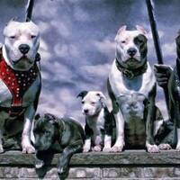 Arnold mix ep1 by Thobani Arnold