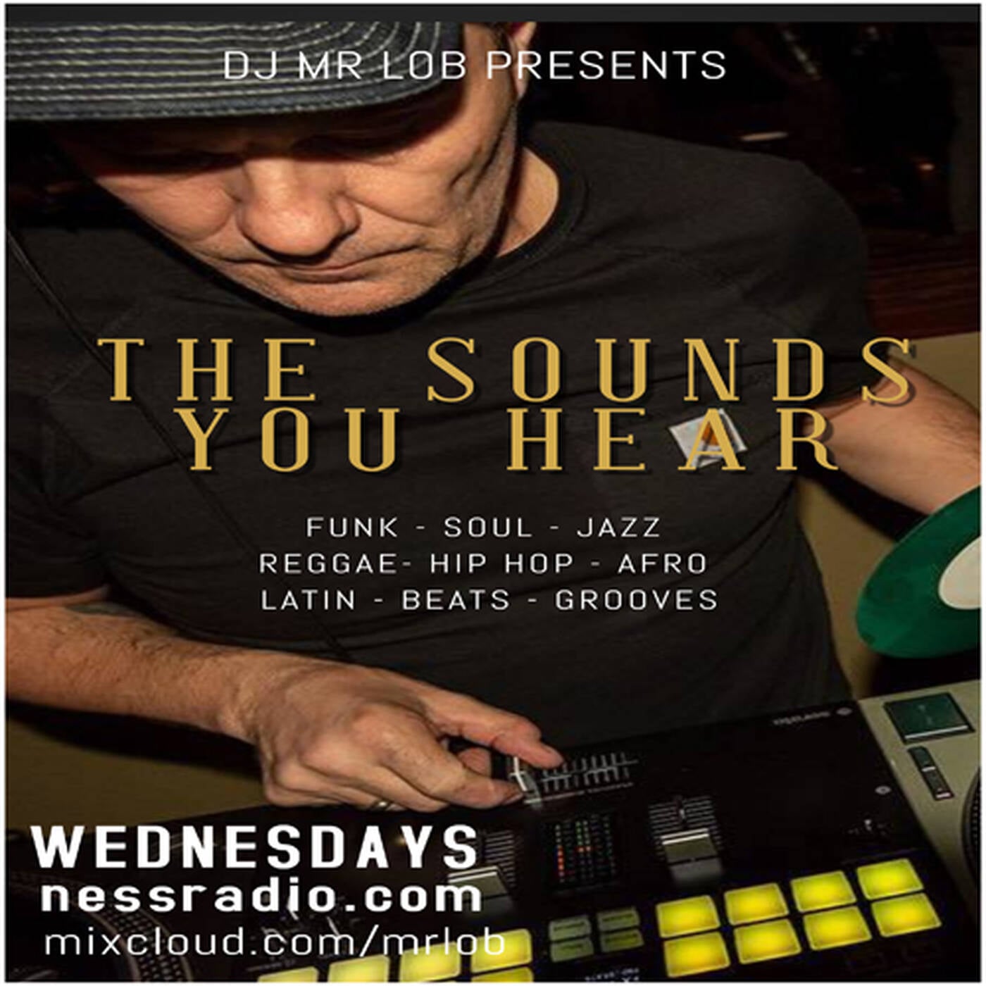 The Sounds You Hear #73 episode artwork