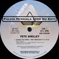 Pete Shelley - Witness the change [Fulvio Perniola 2026 Nu Edit] by TEST PRESSING